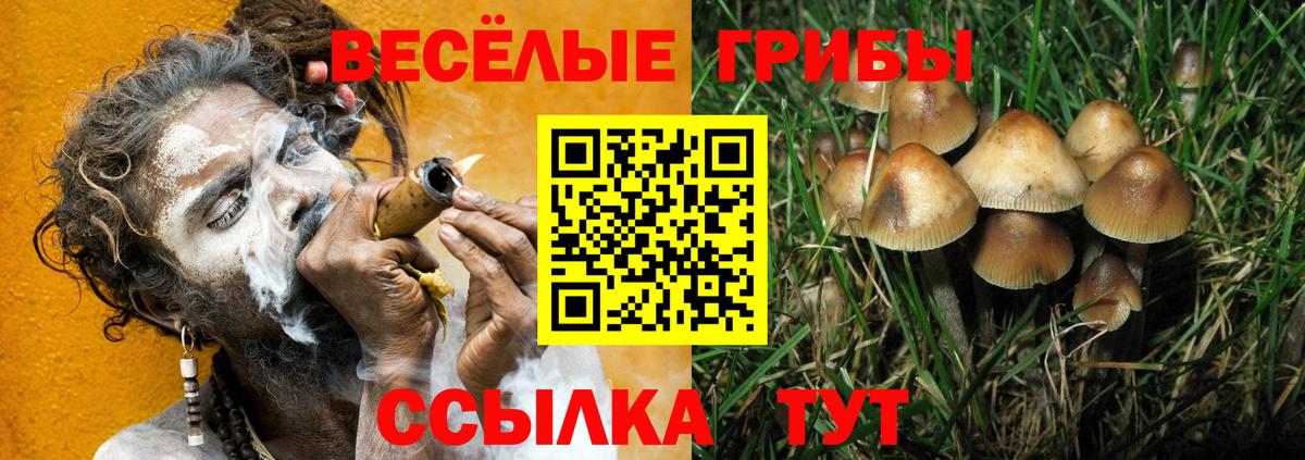 Галлюциногенные грибы мухоморы  Псилоцибиновые грибы мицелий  Вход с VPN  цена наркотик  Каменск-Шахтинский 